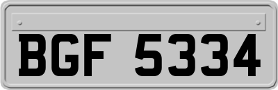 BGF5334