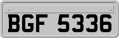 BGF5336