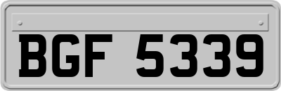 BGF5339