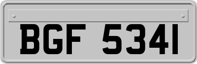BGF5341
