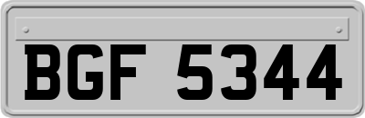 BGF5344