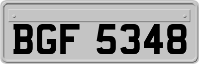 BGF5348