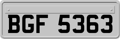 BGF5363