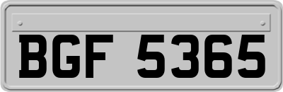 BGF5365