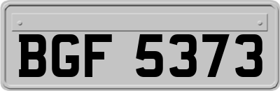 BGF5373