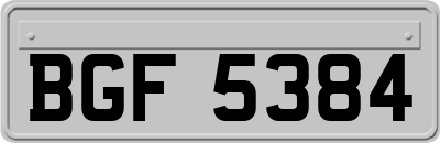 BGF5384