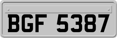 BGF5387