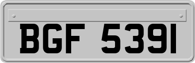 BGF5391