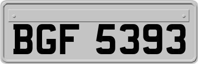 BGF5393