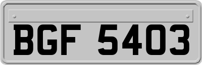 BGF5403