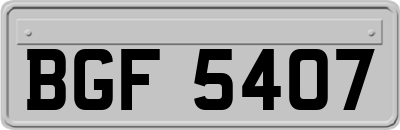 BGF5407