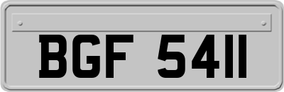 BGF5411