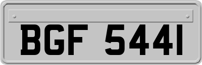BGF5441