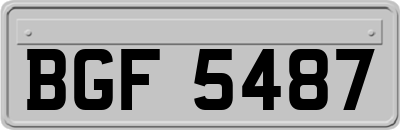 BGF5487