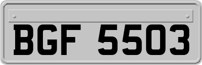BGF5503