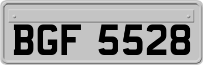 BGF5528