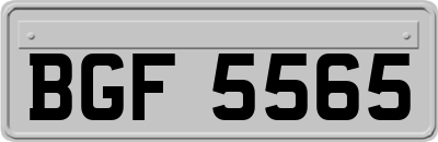 BGF5565