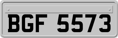 BGF5573