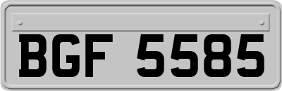 BGF5585