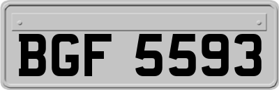 BGF5593