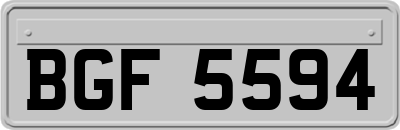 BGF5594