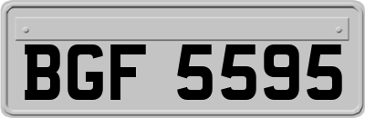 BGF5595