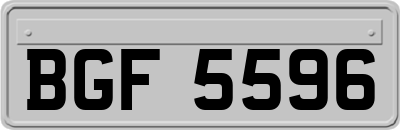 BGF5596
