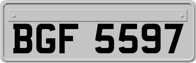 BGF5597