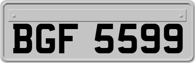 BGF5599