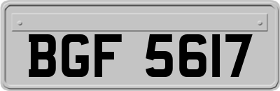 BGF5617