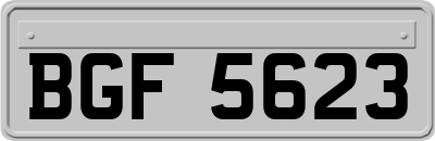 BGF5623
