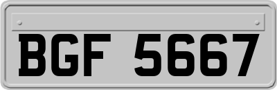 BGF5667