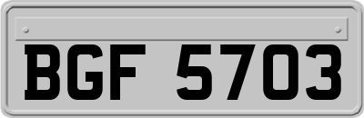 BGF5703