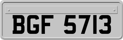 BGF5713