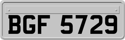 BGF5729