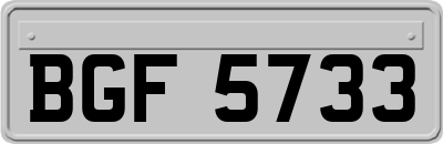 BGF5733
