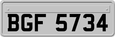 BGF5734