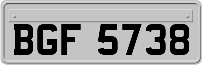 BGF5738