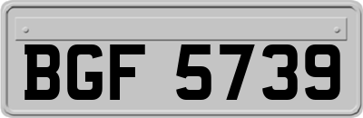 BGF5739