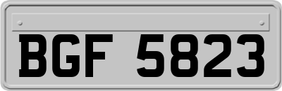BGF5823