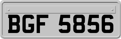 BGF5856