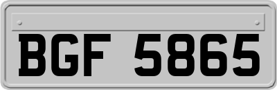 BGF5865