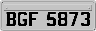 BGF5873