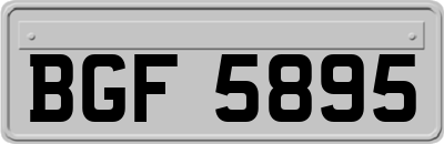 BGF5895