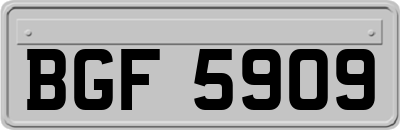 BGF5909