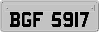BGF5917