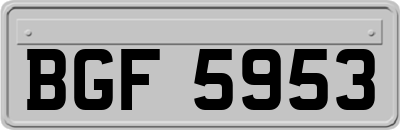 BGF5953