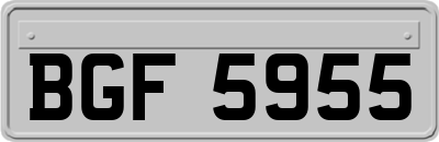 BGF5955