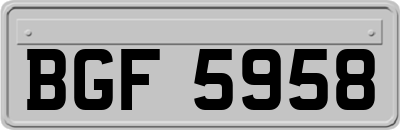 BGF5958