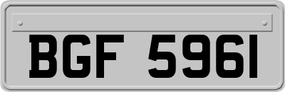 BGF5961